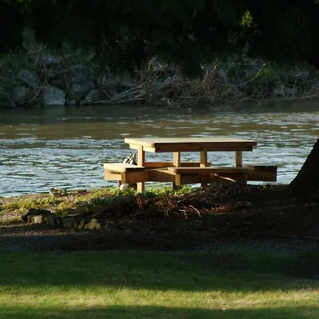Au Crapaud Merbes-le-Château